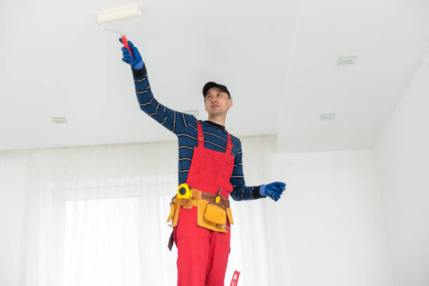  Elm City, NC Dry wall and painting Pros