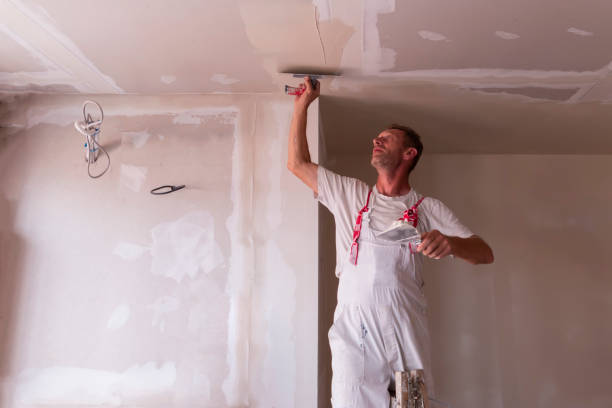 Best Drywall Installation  in Elm City, NC